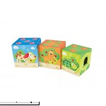 Hape Deluxe 9-Piece Playful Friends Nesting and Stacking Toy Blocks  B01MT8SFLM